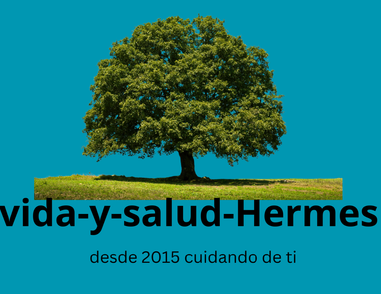Vida-y-salud-Hermes